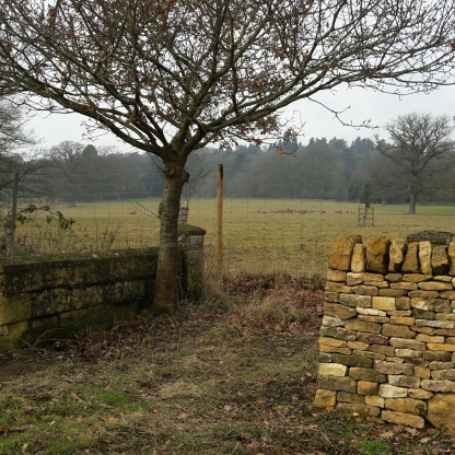 Dry stone walling in front of Batsford House